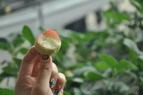 老奥正版资料大全免费版,老奥正版资料大全免费版，一网打尽所有你需要的知识