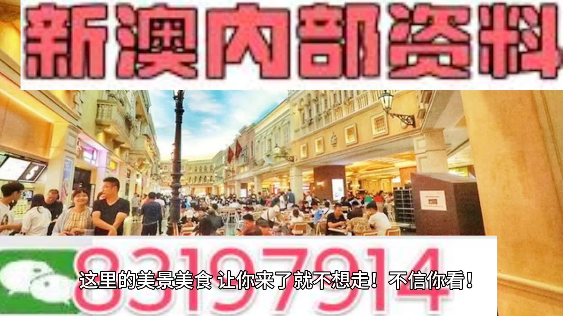 澳门内部资料精准公开,澳门内部资料精准公开的深度解读