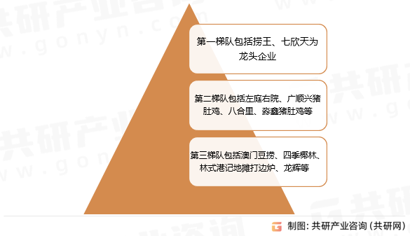 王中王资料大全枓大全,王中王资料大全，深度解析与全面概览