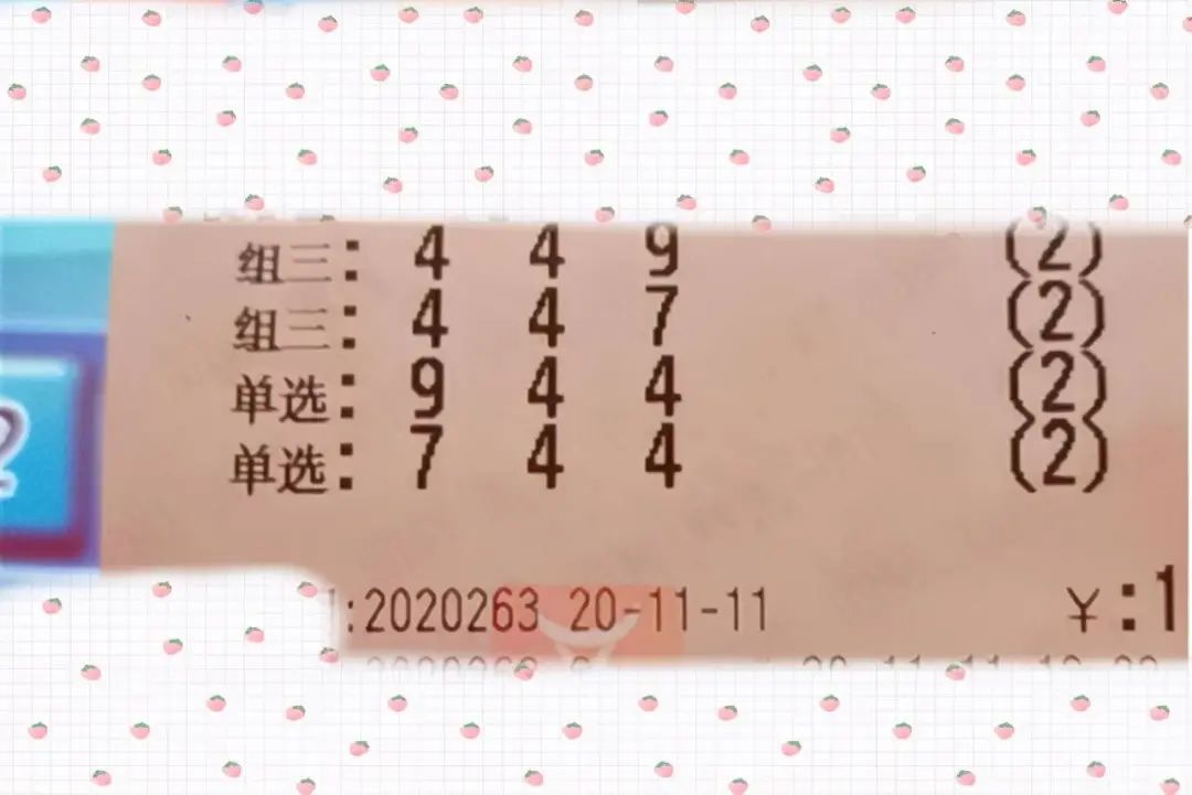 新澳313今晚开奖结果查询,新澳313今晚开奖结果查询——揭秘彩票背后的故事