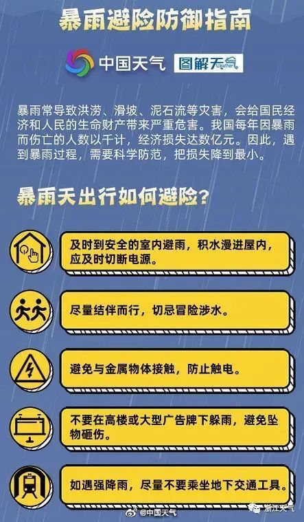 2025全年资料免费大全一肖一特,迈向2025，全年资料免费大全，一肖一特的资源盛宴