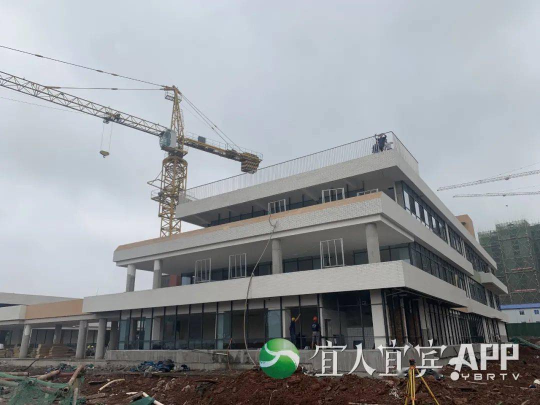 2025年新澳门生肖走势图,澳门生肖走势图与未来的预测，探索2025年的新澳门生肖走势图