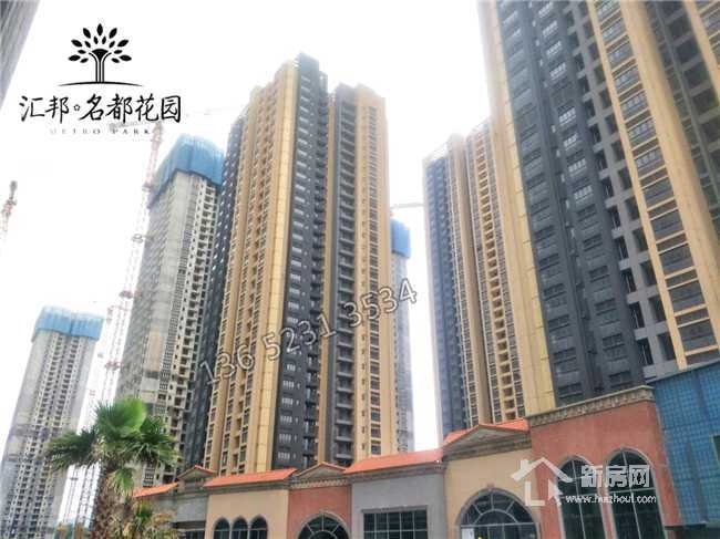 白小姐三肖三期必出一期开奖虎年,白小姐三肖三期必出一期开奖——虎年盛事