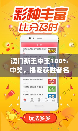澳门王中王100期期中一期林,澳门王中王100期精彩回顾与林氏策略展望