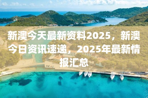 2025新澳最准最快资料,揭秘2025新澳最准最快资料，全方位解读最新动态与趋势