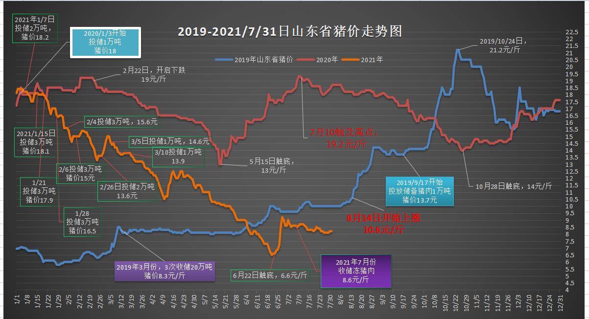 2025香港特马今晚开奖号码,探索未来幸运之门，香港特马2025今晚开奖号码展望