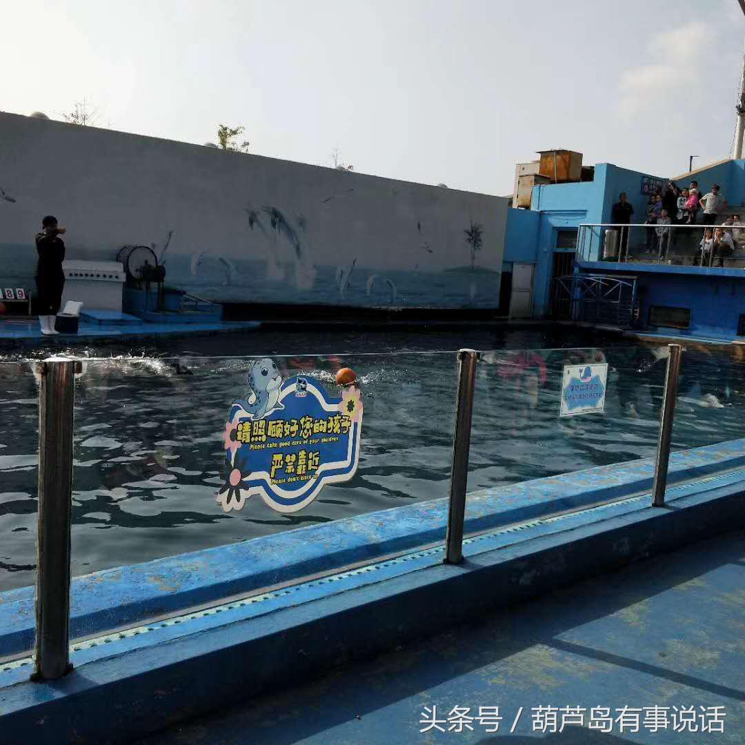 关于新澳天天彩免费资料大全,关于新澳天天彩免费资料大全深度解析