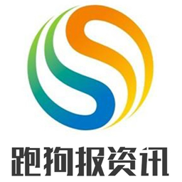 7777788888跑狗论坛版,探索跑狗论坛版，777778与888888的神秘世界