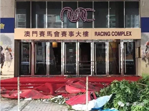 马会传真资料2025澳门,马会传真资料2025澳门——探索未来的机遇与挑战