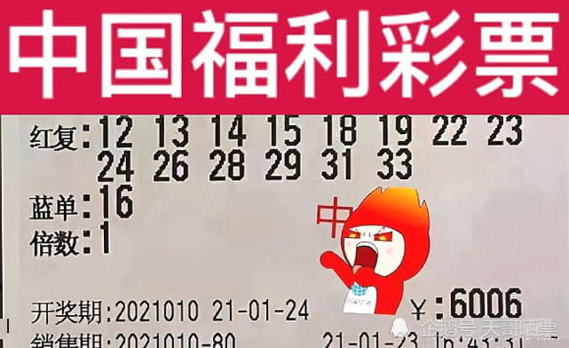 2023澳门特马今晚开奖结果,澳门特马今晚开奖结果，期待与惊喜交织的夜晚