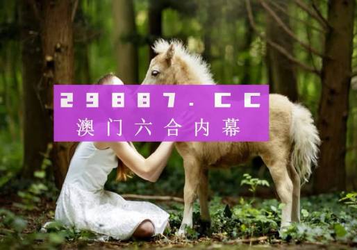4949开奖免费资料澳门,澳门4949开奖免费资料探索与解析