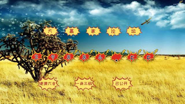 4949精准澳门彩最准确的,揭秘4949精准澳门彩，探寻最准确的预测之道