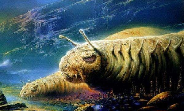 今期四不像图今晚,今期四不像图，探索神秘世界的夜晚