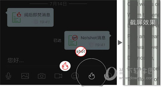 管家婆一码中一肖,揭秘管家婆一码中一肖，神秘与科学的交织