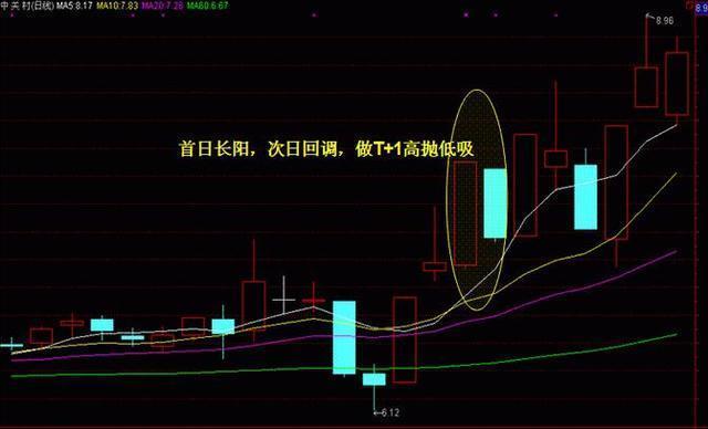 探索新澳门正版免费资本车,探索新澳门正版免费资本车，揭开神秘面纱下的真实面貌