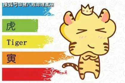 今晚买什么生肖最准确,今晚买什么生肖最准确，揭秘生肖运势与预测的秘密