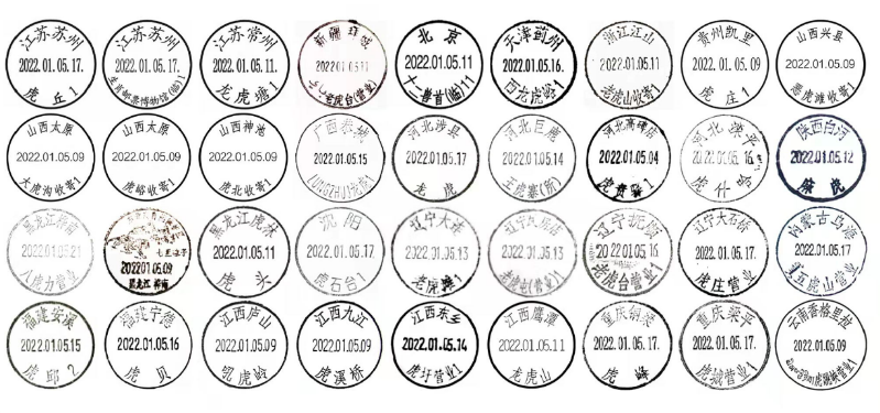 香港今晚必开一肖,香港今晚必开一肖，生肖运势与占星预测的魅力