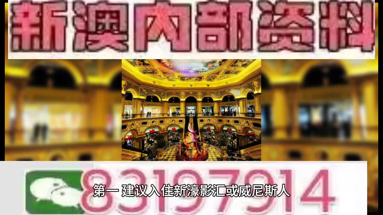 澳门特马今晚开码网站,澳门特马今晚开码网站——探索与体验彩票的魅力