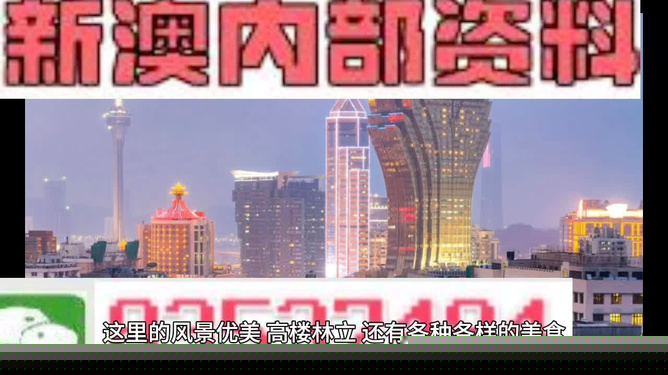 2025新澳精准资料,探索未来，2025新澳精准资料解析