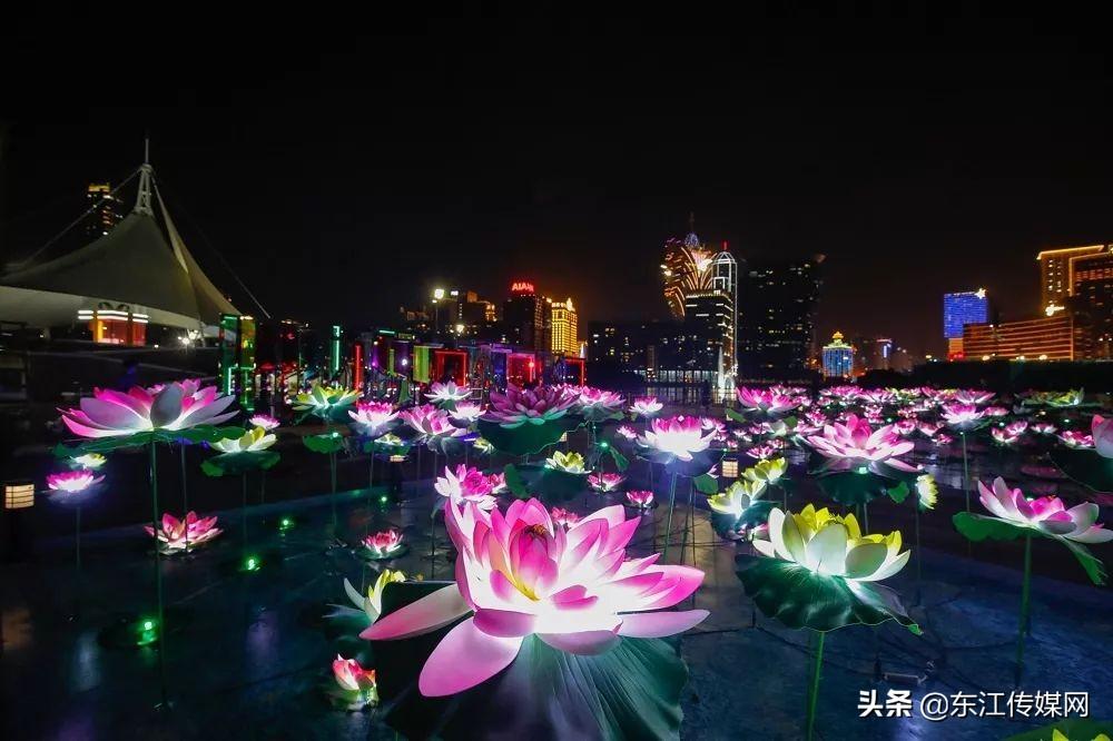 澳门跑狗图免费正版图2025年,澳门跑狗图正版图预测，未来展望与趋势分析（2025年）