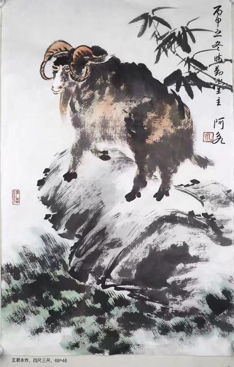 今晚四不像最准确一肖,今晚四不像最准确一肖——探寻神秘生肖之谜