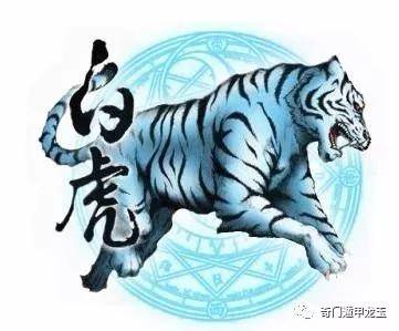 澳门白虎玄机精准玄武,澳门白虎玄机与玄武精准之秘