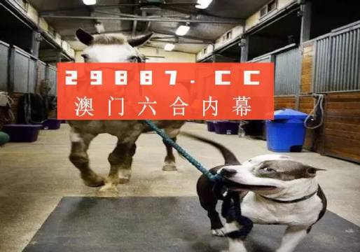 澳门一肖一码一一中厂,澳门一肖一码与中厂的发展之路