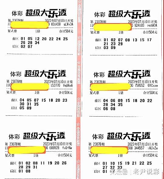 2025年香港港六 彩开奖号码,探索未来，2025年香港港六彩开奖号码的神秘面纱