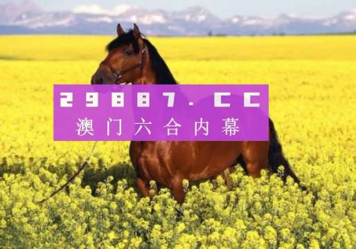 澳门六开彩天天正版资料2023年,澳门六开彩天天正版资料探索与解读（2023年最新版）