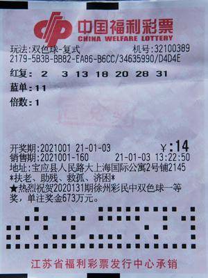 新澳天天免费好彩六肖,新澳天天免费好彩六肖，揭秘彩票背后的秘密