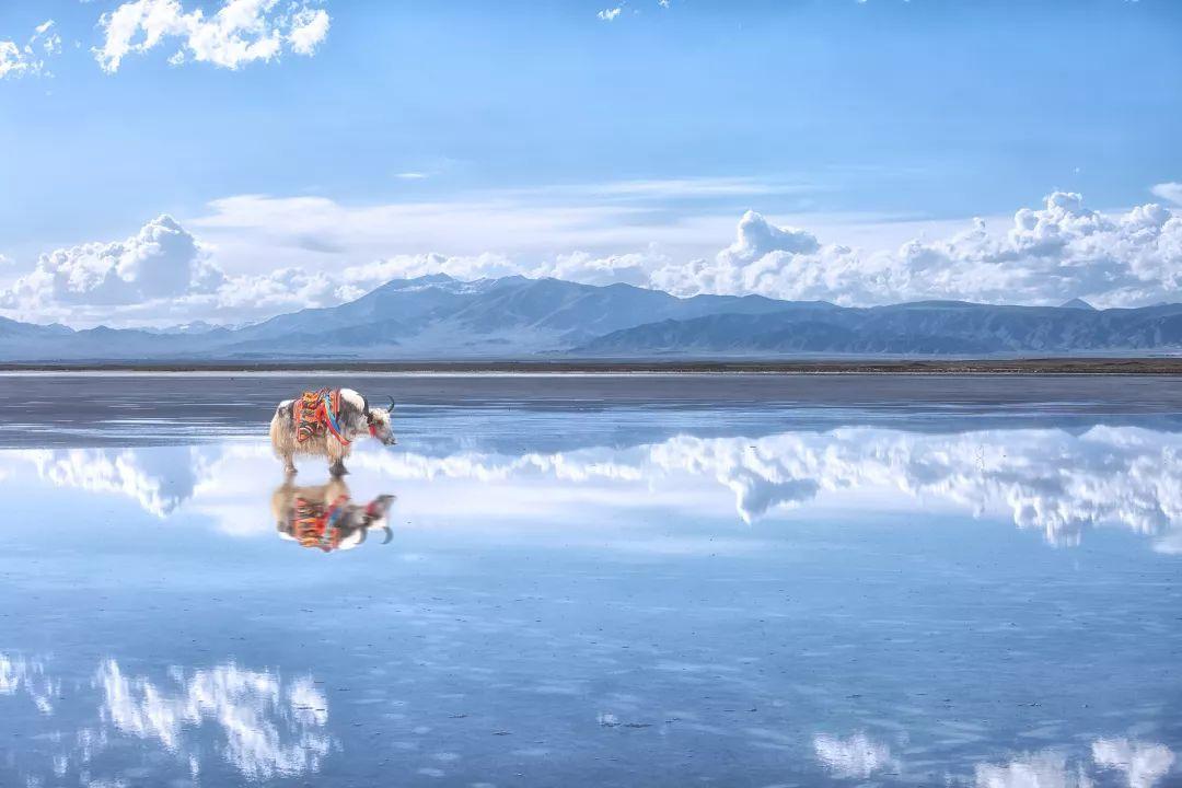 天下天空彩免费资料大全百度,天下天空彩免费资料大全百度，探索与启示