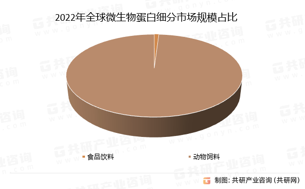 王中王资料大全枓大全,王中王资料大全，深度解析与概览