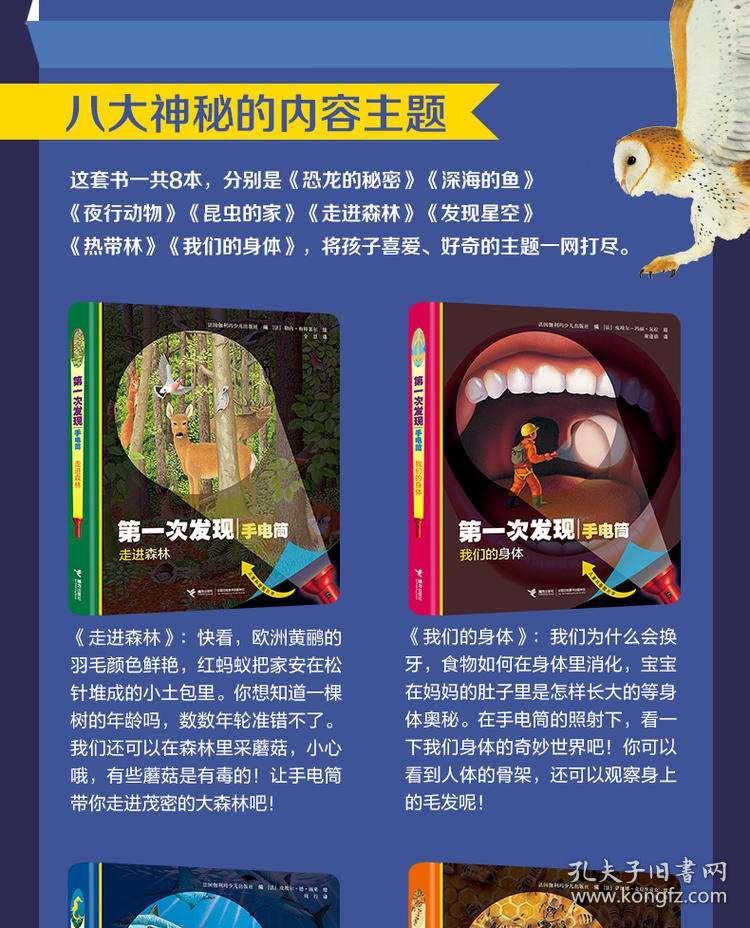2025香港正版资料大全,探索香港，2025正版资料大全的独特魅力与机遇