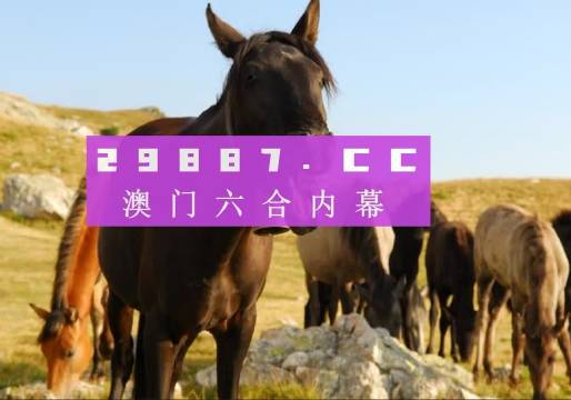 2025澳门管家婆一肖一码,澳门管家婆一肖一码，预测与探索的未来之路
