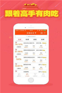 二四六天天彩资料大全网址,二四六天天彩资料大全网址，探索彩票世界的宝库