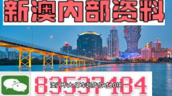 澳门天天彩精准免费资料2022,澳门天天彩精准免费资料2022，探索彩票世界的秘密与机遇