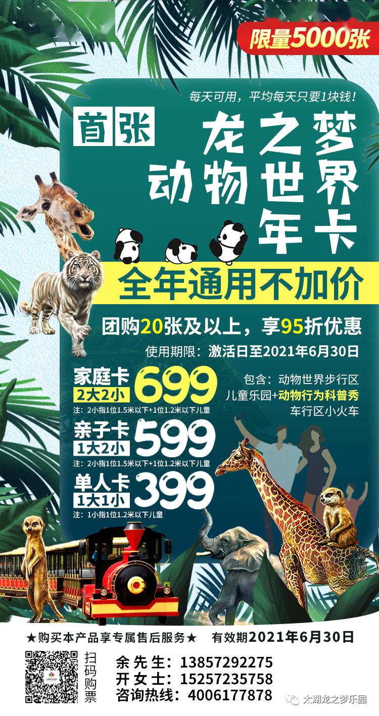 香港今晚开什么特马,香港今晚的马票特马揭晓，探索香港的赛马文化