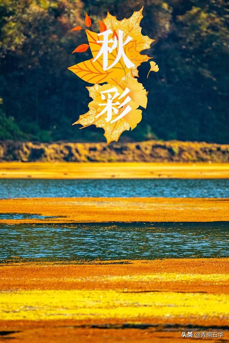 新澳门天天彩正版免费进入方法,新澳门天天彩正版免费进入方法与体验分享