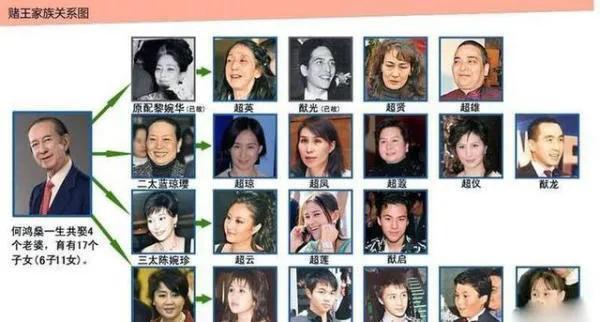 新澳门精准5码中特,新澳门精准5码中特，探索与解读彩票的魅力