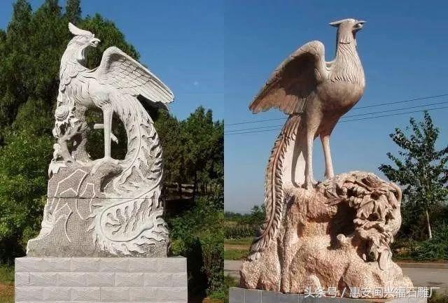 四不像正版资料凤凰,揭秘四不像正版资料与凤凰的传奇故事