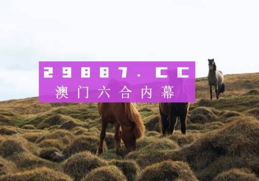 新澳门出彩综合走势图2023,探索新澳门风采，综合走势图2023概览