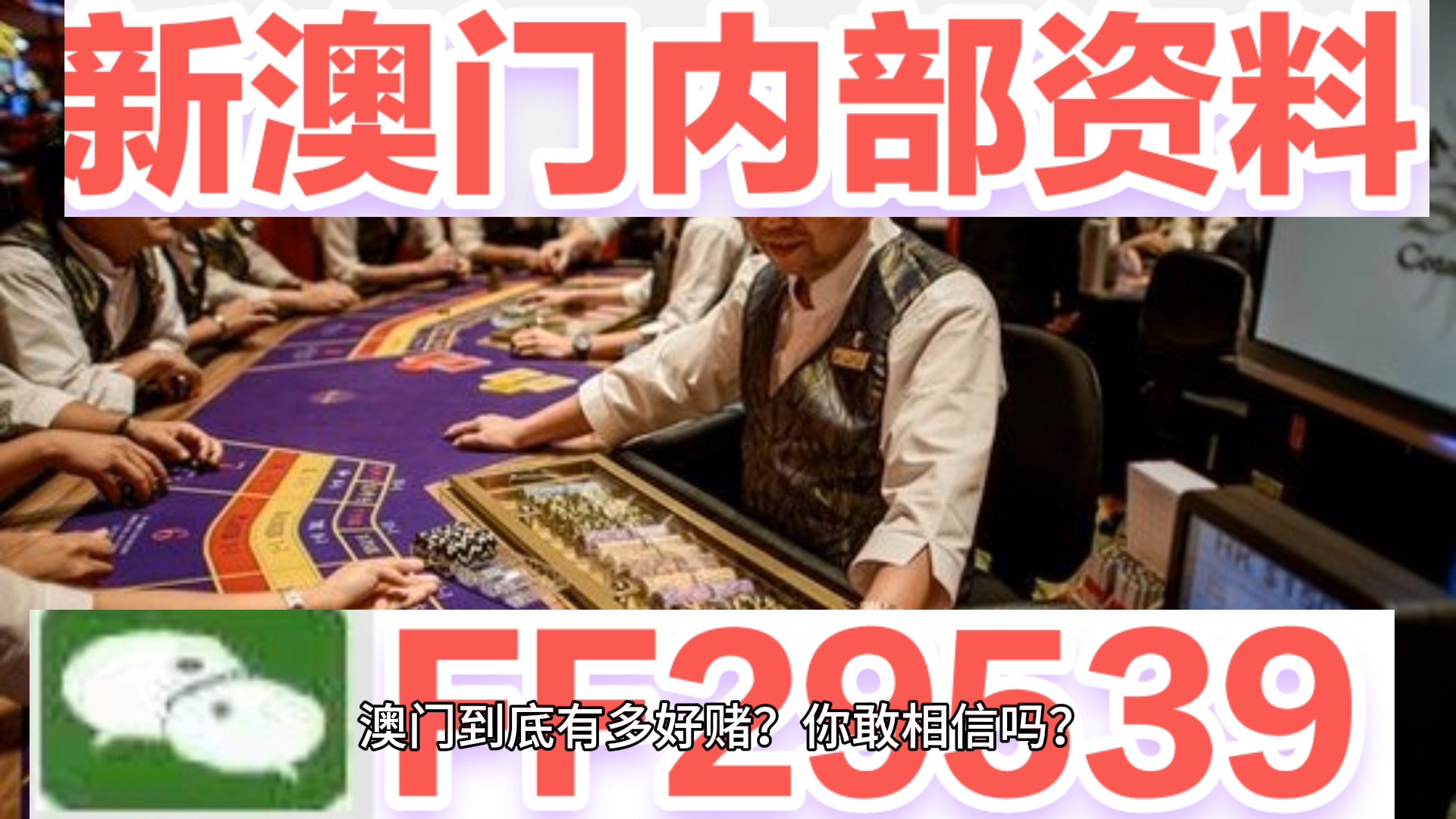 2025澳门今晚开特马结果,探索澳门特马文化，2025年澳门今晚特马结果的神秘面纱