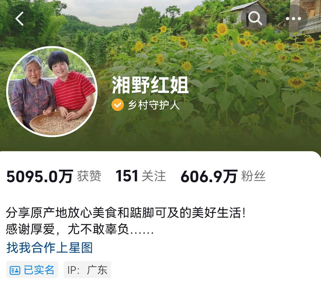 红姐论坛红姐资料马报大众网,红姐论坛，探索红姐资料与马报在大众网的影响力