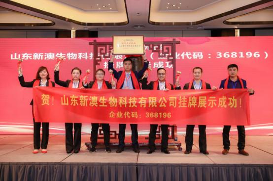 新澳内部一码精准公开,新澳内部一码精准公开，揭秘背后的秘密与机遇
