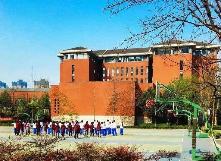 管家婆一码中一肖2014,揭秘管家婆一码中一肖现象，2014年的独特观察与解读