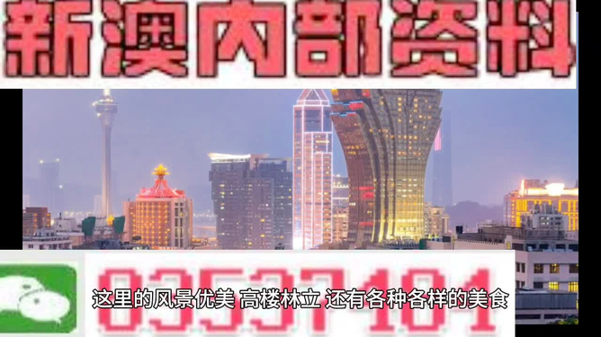 2025年澳门精准资料大全,澳门精准资料大全，探索2025年的数据世界