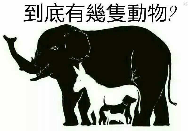 八十一期四不像必中—肖图,八十一期四不像的神秘面纱，肖图解密