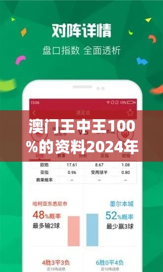 新澳门王中王王中王免费,新澳门王中王王中王免费——探索澳门的魅力与机遇