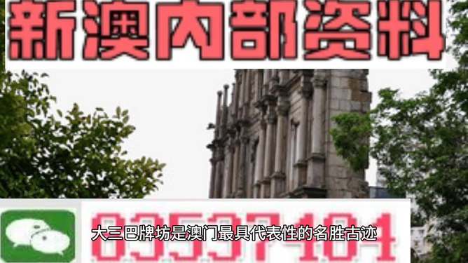 新澳门内部精准二肖,新澳门内部精准二肖，探索与解析