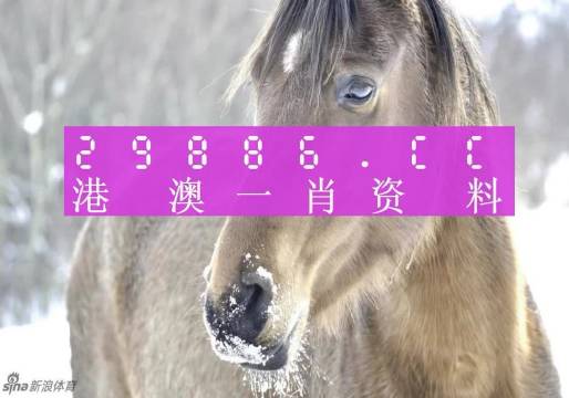澳门一肖一码100,澳门一肖一码，揭秘背后的故事与真相（1584字文章）